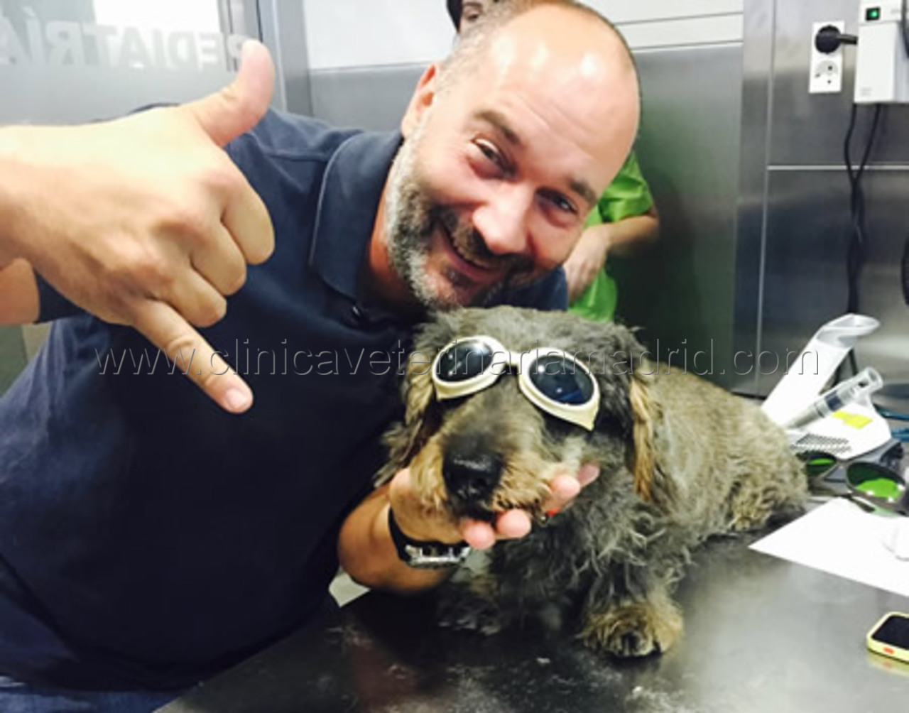 Clinica Veterinaria para perros en Madrid
